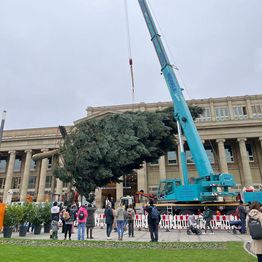 Aufstellen Weihnachtsbaum 2024